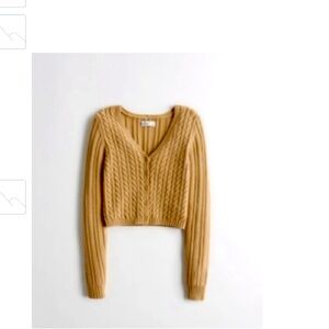 Hollister Knit Crop Cardigan